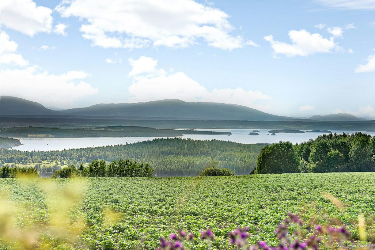 First Camp Frösön - Östersund - Bild 3 First Camp Frösön - Östersund - Bild 3