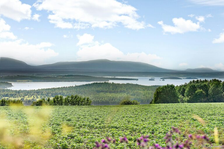 First Camp Frösön - Östersund - Bild 3 First Camp Frösön - Östersund - Bild 3