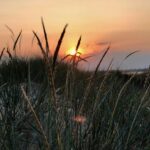 First Camp Hagön-halmstad - Bild 6 First Camp Hagön-halmstad - Bild 6