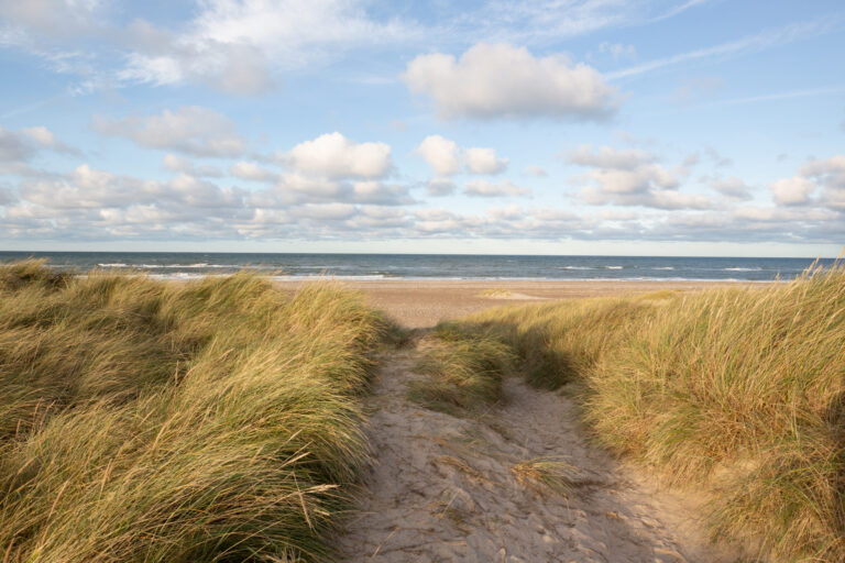 First Camp Klim Strand - Nordvestkysten - Bild 16