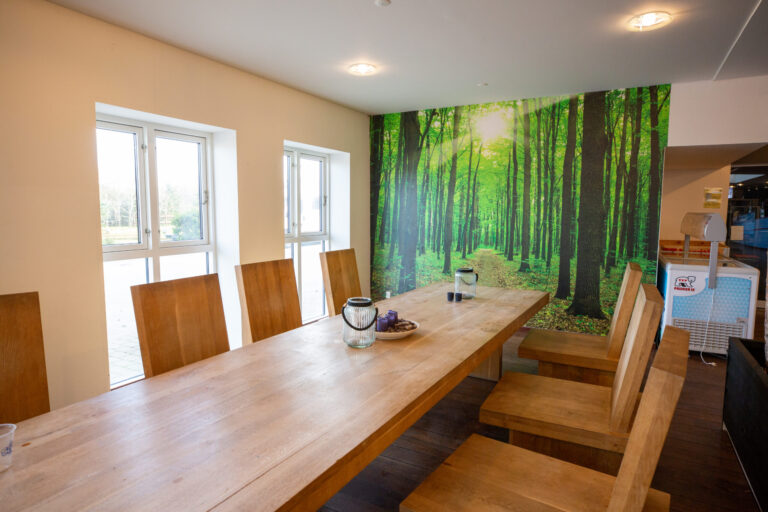 First Camp Klim Strand - Nordvestkysten - Bild 19