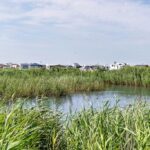 First Camp Lakolk Strand-rømø - Bild 16