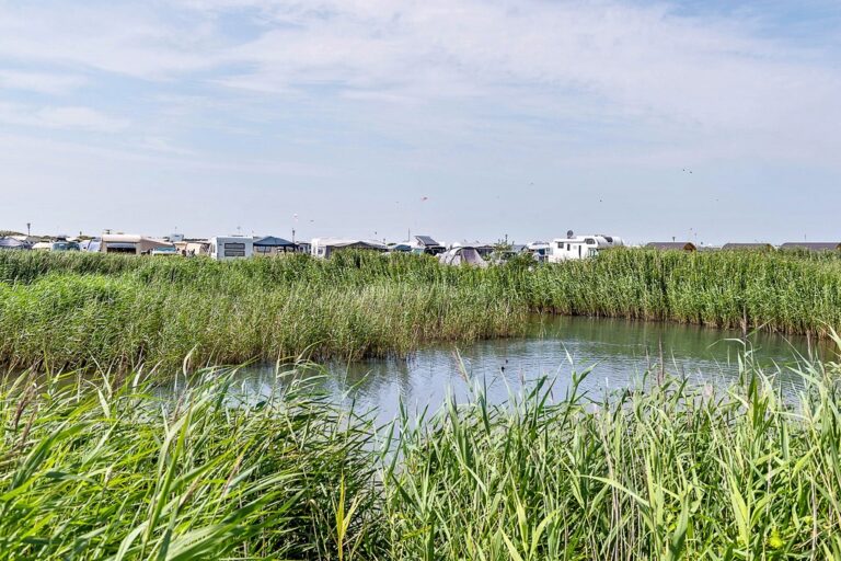 First Camp Lakolk Strand-rømø - Bild 16
