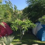 Flintstones Park - Bild 16 Flintstones Park - Bild 16