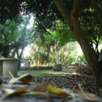 Flintstones Park - Bild 17 Flintstones Park - Bild 17