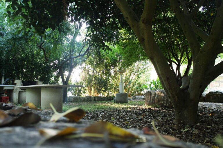 Flintstones Park - Bild 17 Flintstones Park - Bild 17