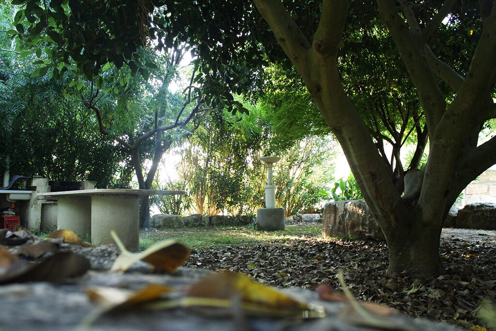 Flintstones Park - Bild 17 Flintstones Park - Bild 17