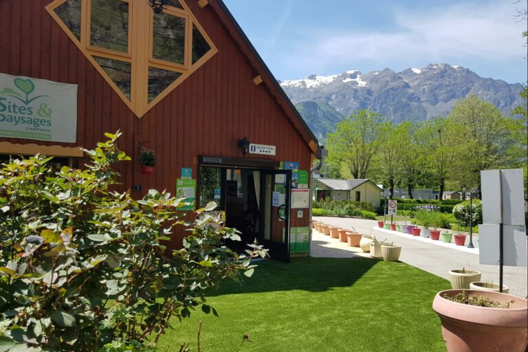 Flower Camping A La Rencontre Du Soleil - Bild 2