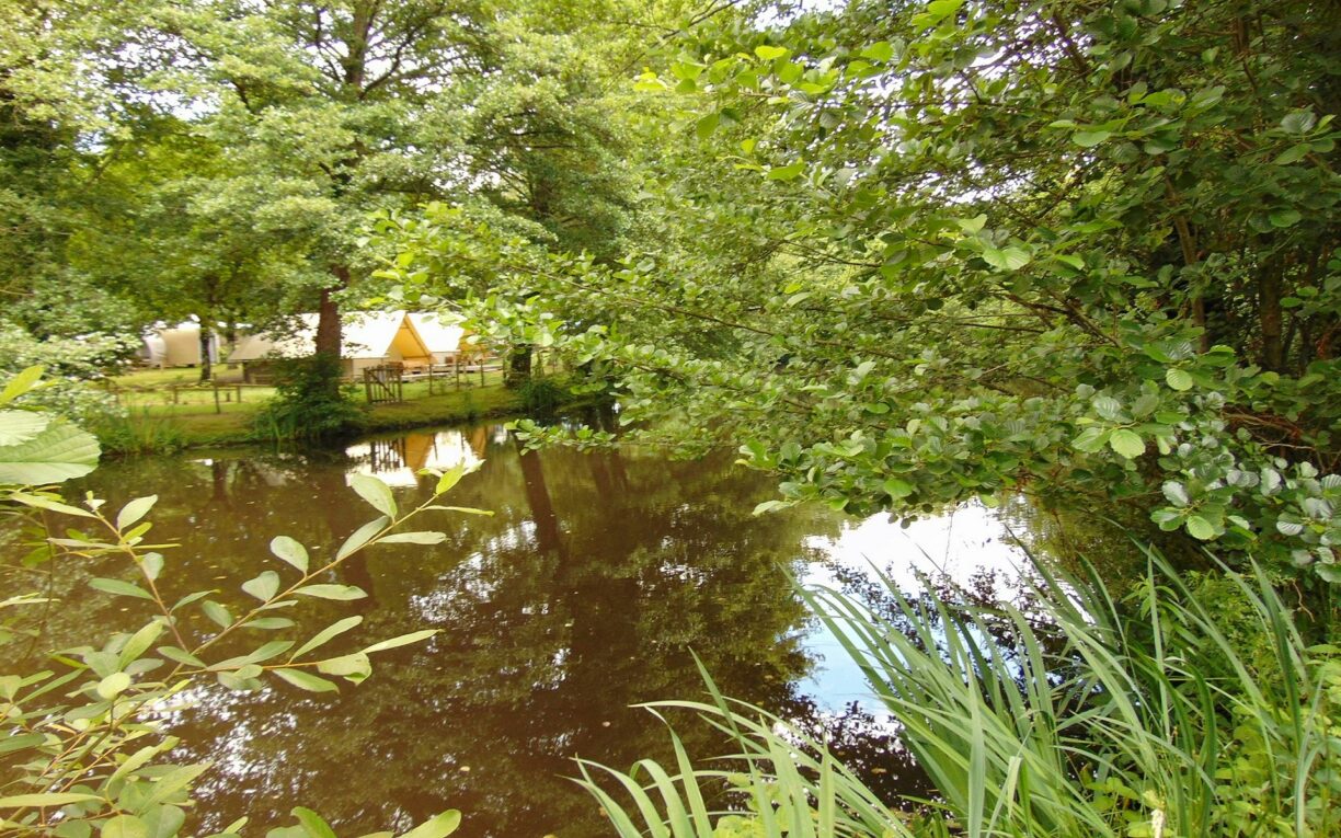 Flower Camping Beauchene - Bild 2 Flower Camping Beauchene - Bild 2