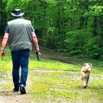 Flower Camping Du Lac De La Seigneurie - Bild 11 Flower Camping Du Lac De La Seigneurie - Bild 11