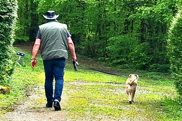 Flower Camping Du Lac De La Seigneurie - Bild 11 Flower Camping Du Lac De La Seigneurie - Bild 11