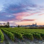 Flower Camping Île D'offard - Bild 6