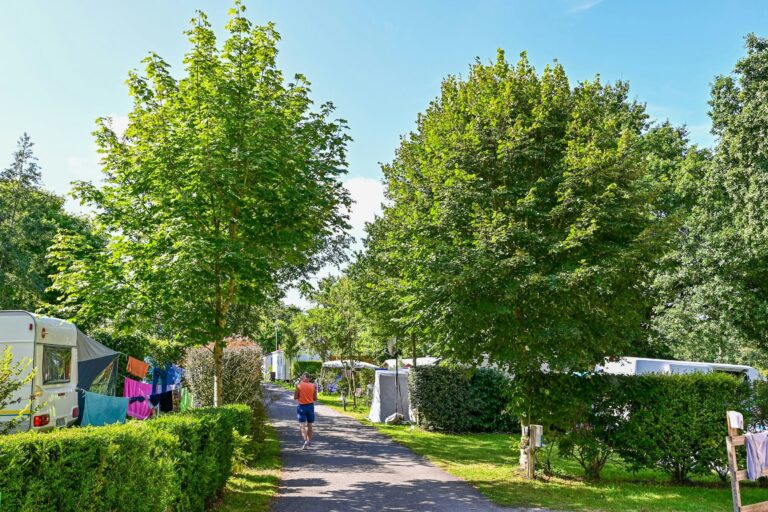 Flower Camping La Blanche Hermine - Bild 7 Flower Camping La Blanche Hermine - Bild 7