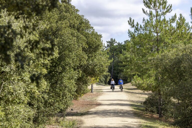 Flower Camping La Davière Plage - Bild 2
