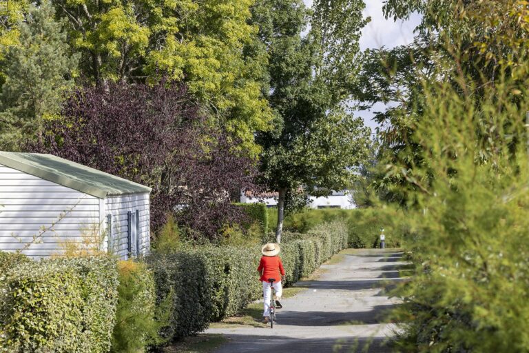 Flower Camping La Davière Plage - Bild 8