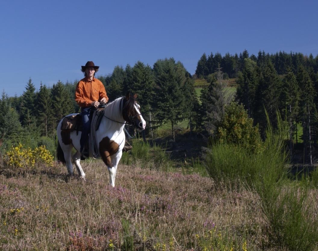 Flower Camping La Plage - Bild 4 Flower Camping La Plage - Bild 4