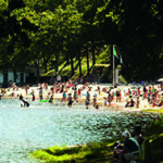 Flower Camping La Plage - Bild 8 Flower Camping La Plage - Bild 8