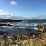 Flower Camping La Pointe Du Talud - Bild 3