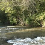 Flower Camping La Riviere - Bild 14 Flower Camping La Riviere - Bild 14