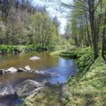 Flower Camping La Rochelambert - Bild 11