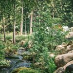 Flower Camping La Sténiole - Bild 5