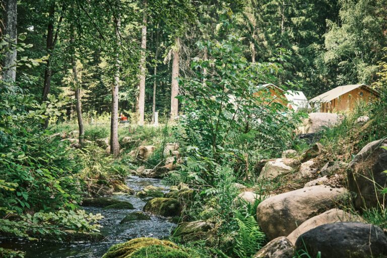 Flower Camping La Sténiole - Bild 5