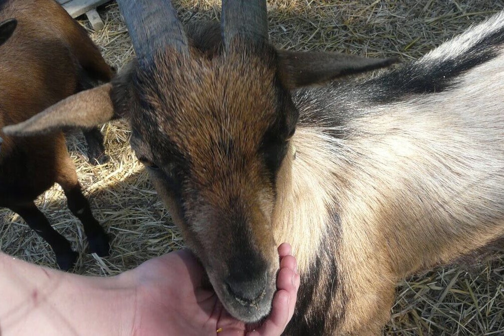 Flower Camping Lac Aux Oiseaux - Bild 10 Flower Camping Lac Aux Oiseaux - Bild 10
