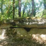 Flower Camping Lac Aux Oiseaux - Bild 11 Flower Camping Lac Aux Oiseaux - Bild 11