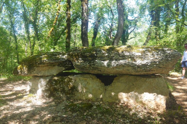 Flower Camping Lac Aux Oiseaux - Bild 11 Flower Camping Lac Aux Oiseaux - Bild 11