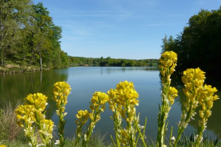 Flower Camping Lac Aux Oiseaux - Bild 1