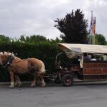 Flower Camping L'abri-côtier - Bild 16