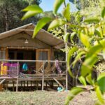 Flower Camping Le Bel Air - Bild 2 Flower Camping Le Bel Air - Bild 2