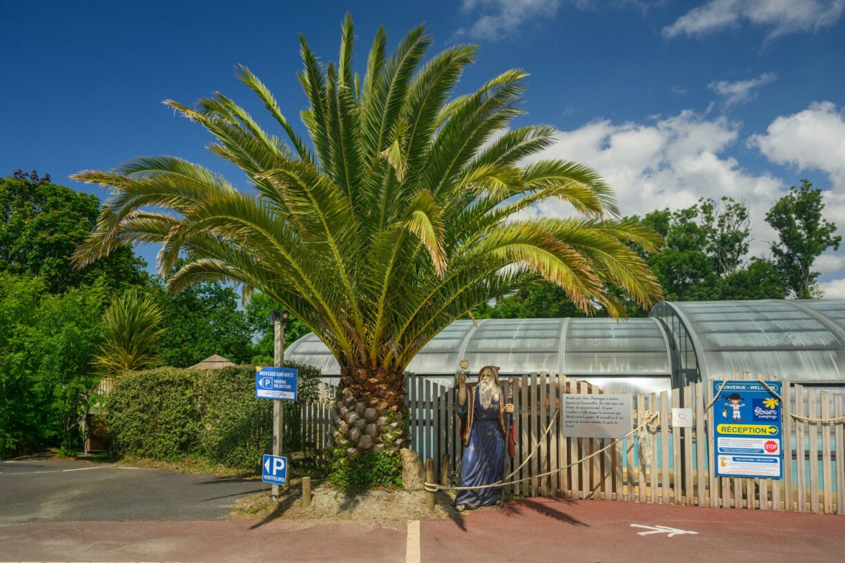 Flower Camping Le Kergariou - Bild 12 Flower Camping Le Kergariou - Bild 12