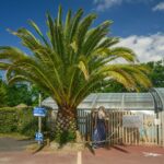 Flower Camping Le Kergariou - Bild 12 Flower Camping Le Kergariou - Bild 12