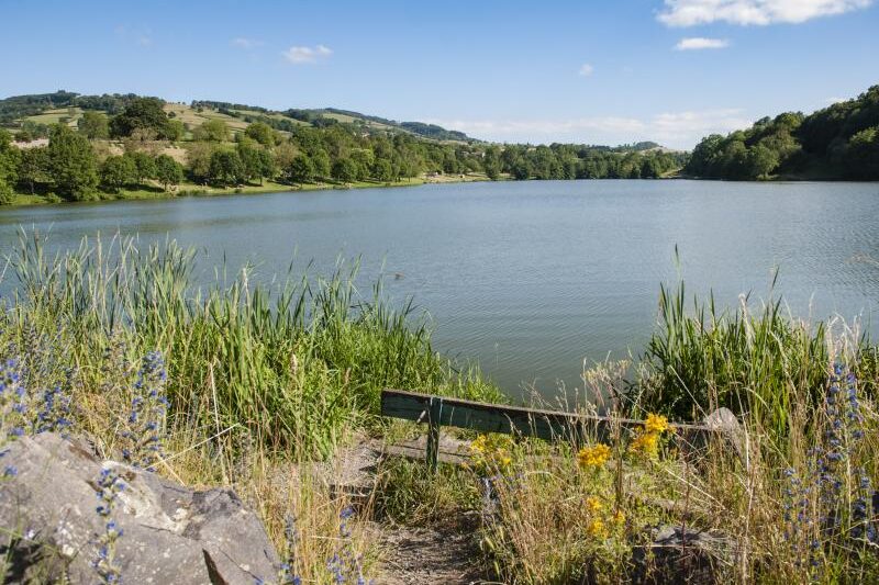 Flower Camping Le Lac De Saint-point - Bild 2 Flower Camping Le Lac De Saint-point - Bild 2