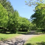 Flower Camping Le Lac De Saint-point - Bild 9 Flower Camping Le Lac De Saint-point - Bild 9