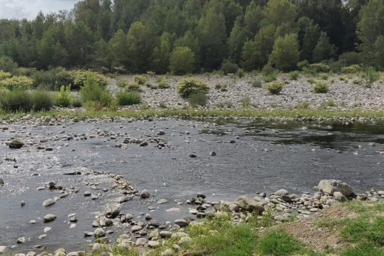 Flower Camping Le Plan D'eau - Bild 10