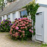 Flower Camping Le Port De La Chaine - Bild 10 Flower Camping Le Port De La Chaine - Bild 10