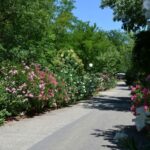 Flower Camping Le Saint Michelet - Bild 7