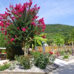 Flower Camping Le Tiradou - Bild 2 Flower Camping Le Tiradou - Bild 2