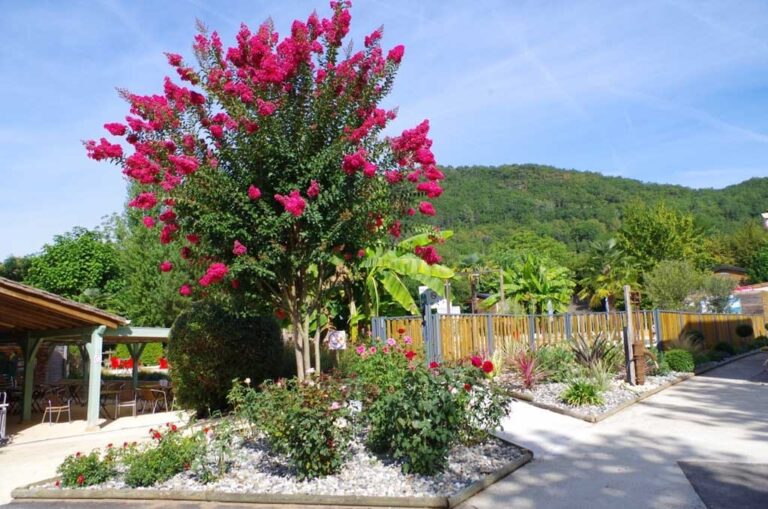 Flower Camping Le Tiradou - Bild 2 Flower Camping Le Tiradou - Bild 2