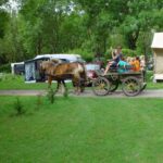 Flower Camping Les 3 Ours - Bild 11