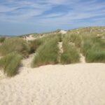 Flower Camping Les Aubépines - Bild 9 Flower Camping Les Aubépines - Bild 9