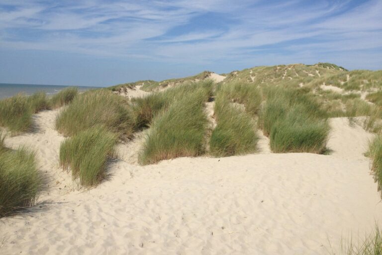 Flower Camping Les Aubépines - Bild 9 Flower Camping Les Aubépines - Bild 9