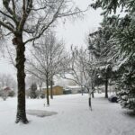 Flower Camping Les Bouleaux - Bild 9