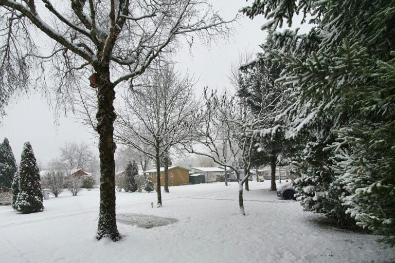 Flower Camping Les Bouleaux - Bild 9