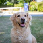 Flower Camping Les Granges - Bild 12 Flower Camping Les Granges - Bild 12