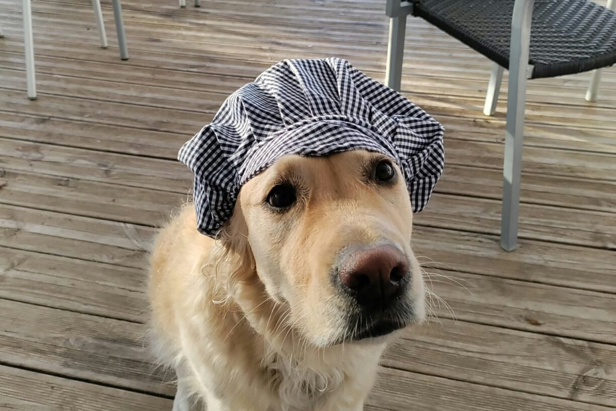 Flower Camping Les Granges - Bild 13 Flower Camping Les Granges - Bild 13