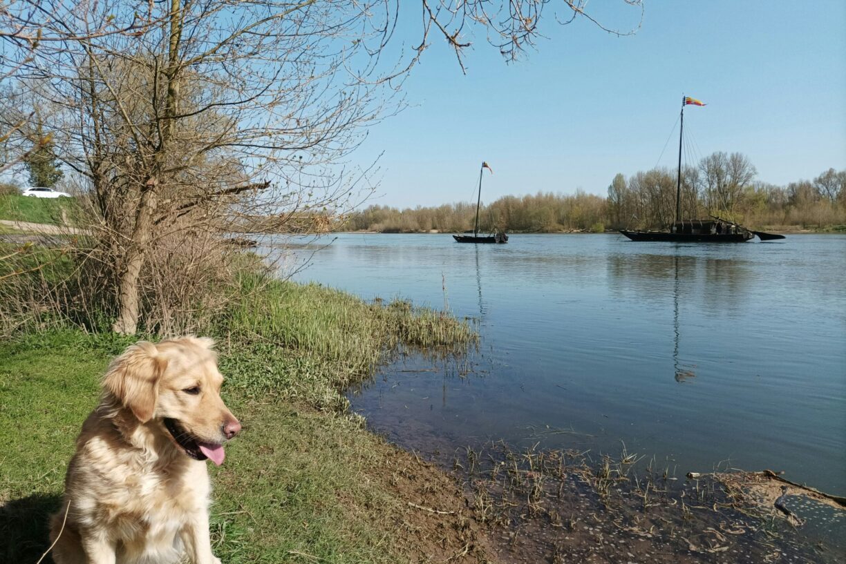 Flower Camping Les Granges - Bild 14 Flower Camping Les Granges - Bild 14