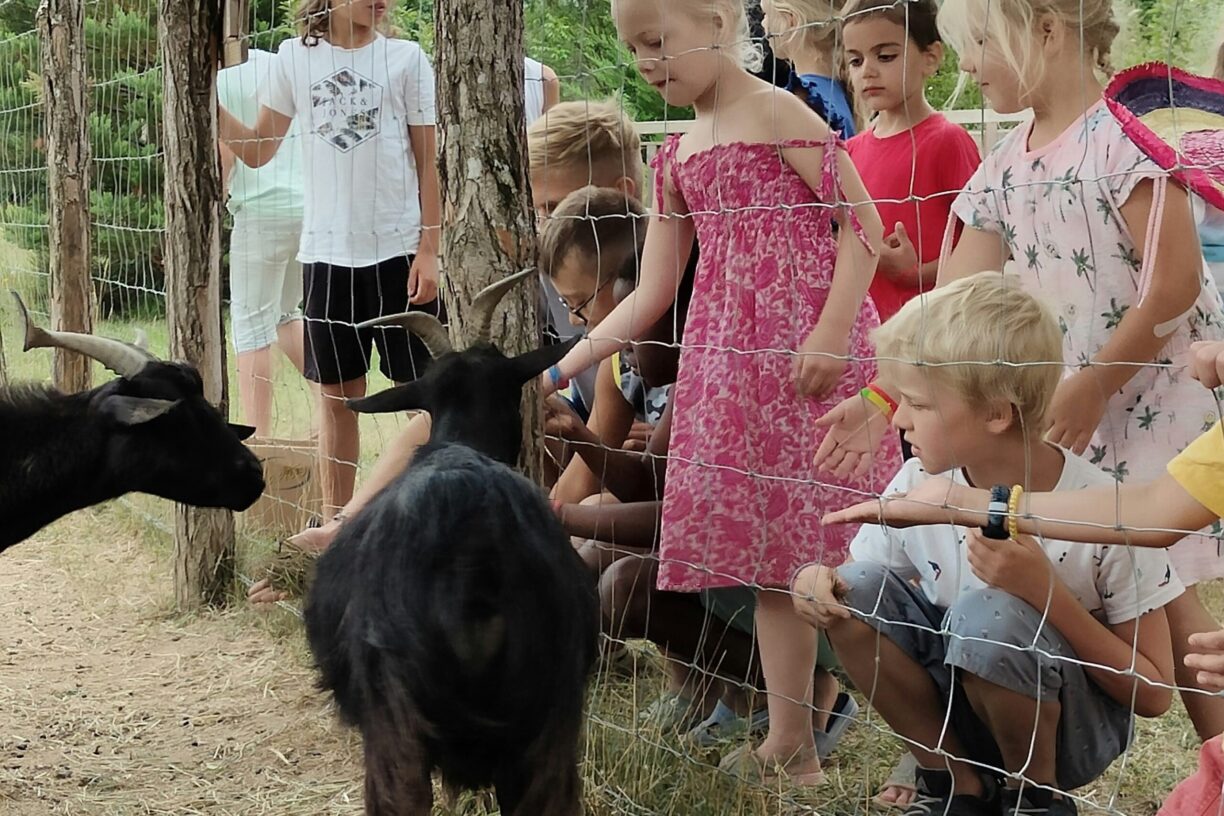 Flower Camping Les Plages De L´ain - Bild 15 Flower Camping Les Plages De L´ain - Bild 15
